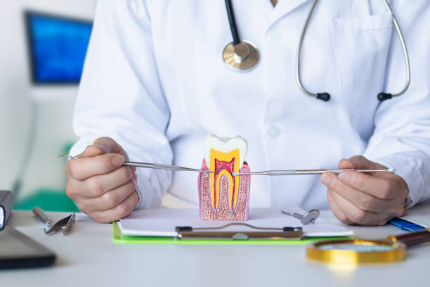 Best Emergency Root Canal Treatment in West Brownsville, PA